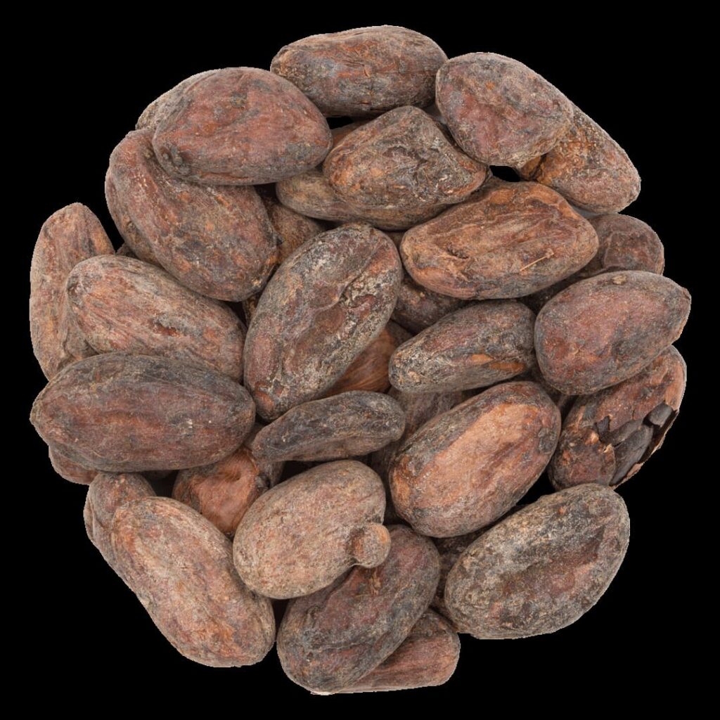 ziarna kakaowca